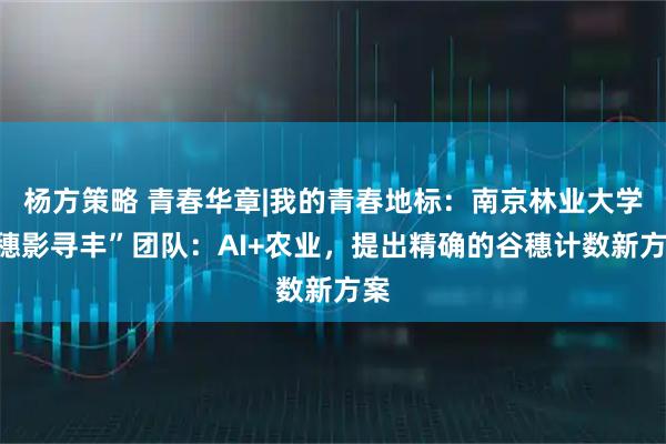 杨方策略 青春华章|我的青春地标：南京林业大学“穗影寻丰”团队：AI+农业，提出精确的谷穗计数新方案