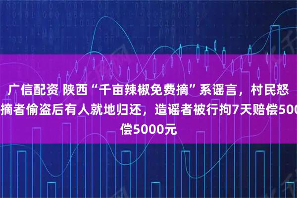 广信配资 陕西“千亩辣椒免费摘”系谣言，村民怒斥采摘者偷盗后有人就地归还，造谣者被行拘7天赔偿5000元