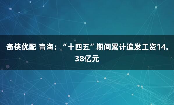奇侠优配 青海：“十四五”期间累计追发工资14.38亿元