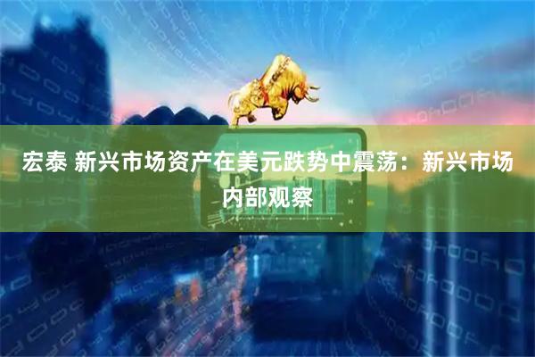 宏泰 新兴市场资产在美元跌势中震荡:新兴市场内部观察